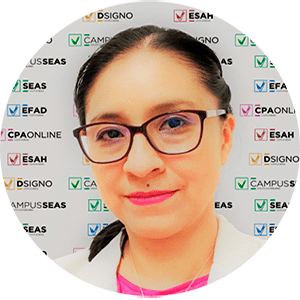 María del Carmen Valerdi