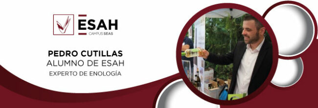 Pedro Cutillas experto enólogo empresa de vinos